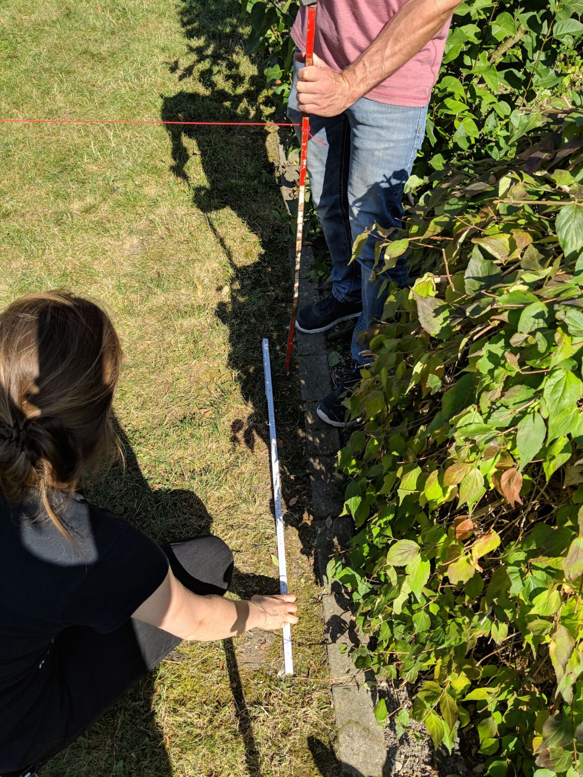 Open-Air-Kino "Ein Becken voller Männer" 
